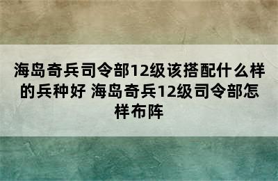 海岛奇兵司令部12级该搭配什么样的兵种好 海岛奇兵12级司令部怎样布阵